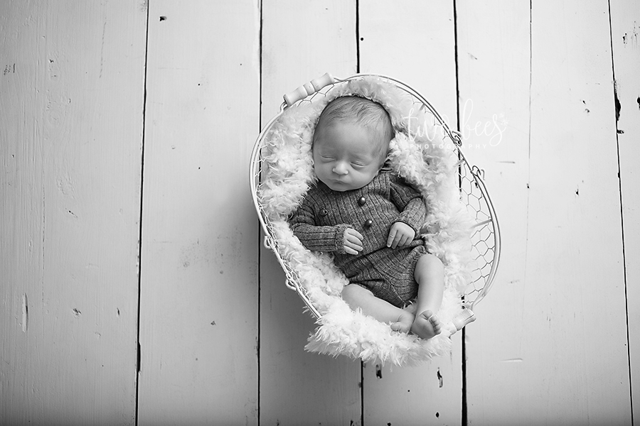 twin baby boy in a basket